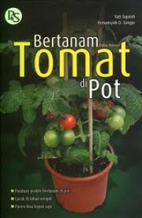 Image of Bertanam Tomat di pot